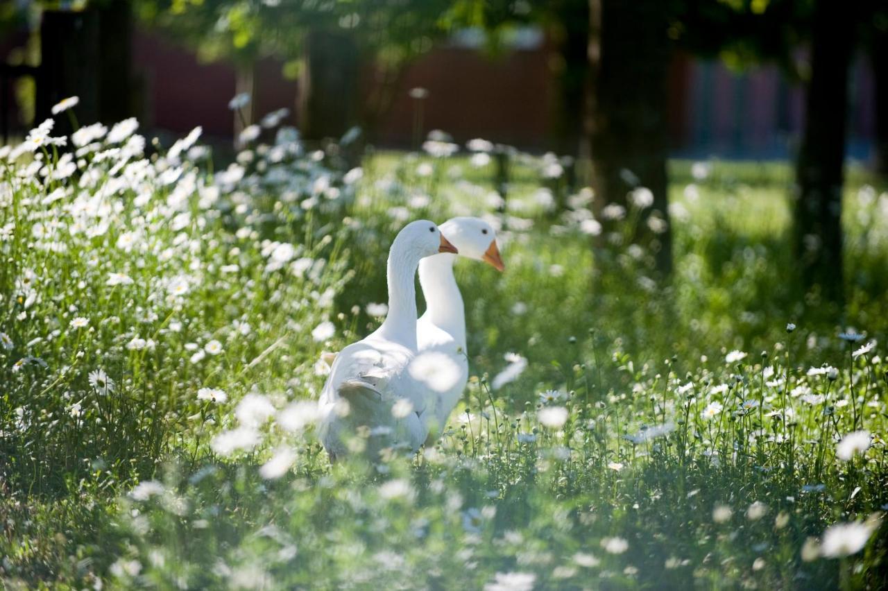 Natures-Rest Wielen Exterior foto